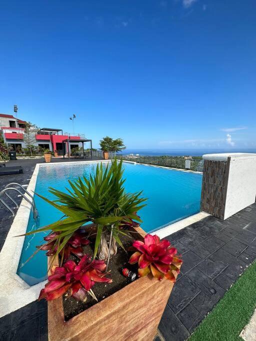 Willa Casa Bella Vista @ Pyramid Point Ocho Rios Zewnętrze zdjęcie